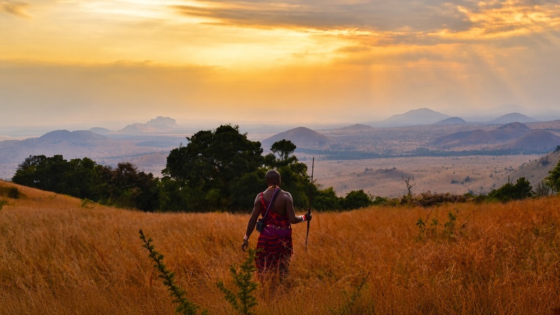 Maasai man in red traditional clothing standing in golden grassland, gazing over a vast African savanna at sunset.